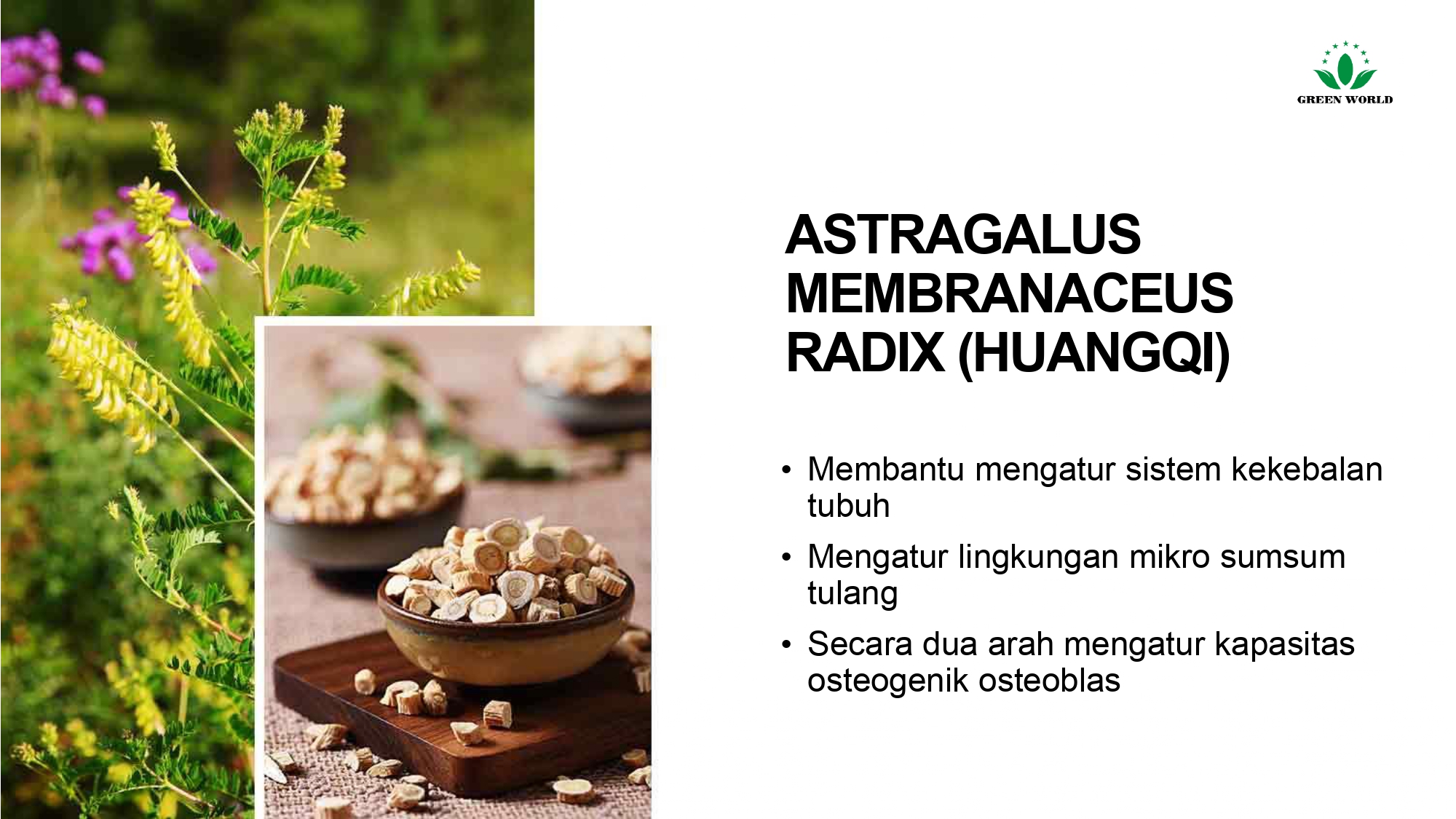 Education content image